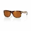 Swing City In Tort Sunglasses