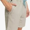 Quiksilver Cabo Shore In Gray Shorts