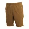 Billabong Transport Elastic In Clay (Cly) Shorts