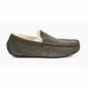Ugg Slipper Ascot In Charcoal