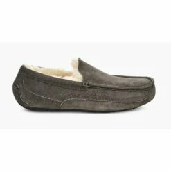 Ugg Slipper Ascot In Charcoal