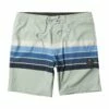 Vissla High Five In Agave (Aga) Boardshort