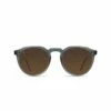 Remmy 49 In Brown Sunglasses