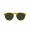 Remmy 52 In Green Sunglasses