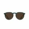 Remmy 52 In Brown Sunglasses