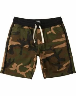 Billabong All Day In Camo (Cmm) Shorts