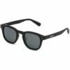 Havana Polarized In Black Sunglasses