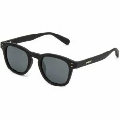 Havana Polarized In Black Sunglasses
