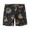 Vissla Helloha 17.5" Ecolastic In Black Boardshort