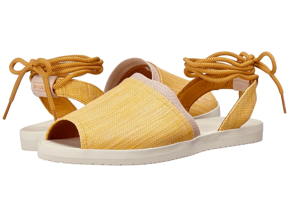 Reef Daisy (sunflower) 1 Reef Daisy (sunflower)