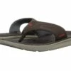 Quiksilver Amphibian Plus Sandal (brown/brown/brown)