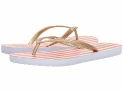 Billabong Dama (seashell 3)