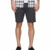 Vans Authentic Stretch Shorts 20 (asphalt)