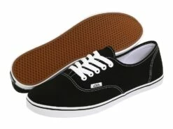 Vans Authentic Lo Pro (black/true White)